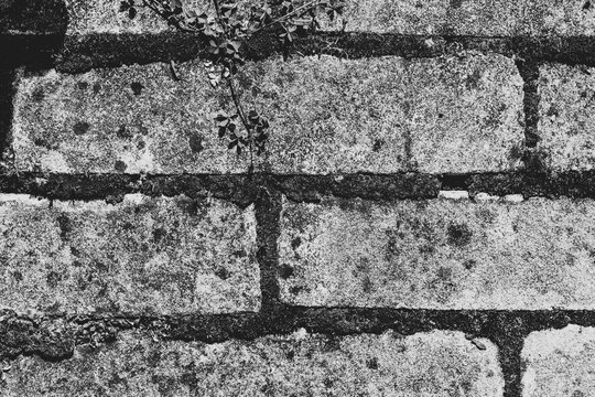 Street Tiles Beige Bricks With Moss Black and White Monochrome Texture Close-Up Macro Background Structure - Wallpaper