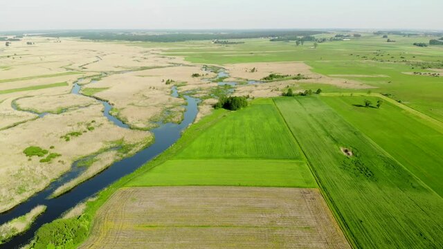 Narew Podlasie Podlaskie Narwiański Park Narodowy Rzeka woda trzcina łąka pole wieś widok z drona 4k