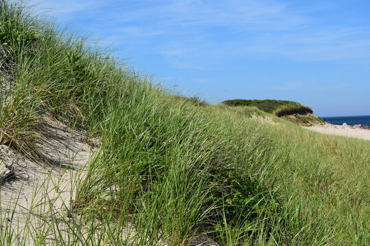sand dunes and grass © Jake