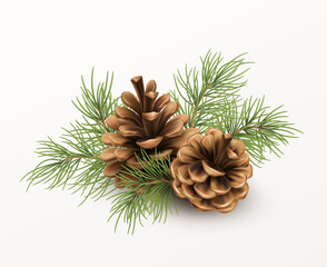 Pine cone with a branch of spruce needles isolated on a white background. Realistic vector illustration