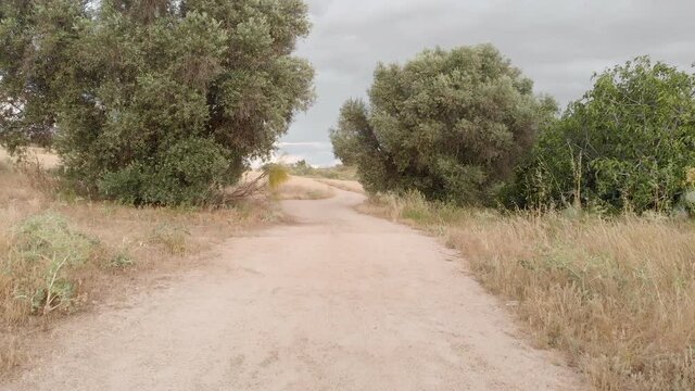 Country road in yellow fields. Cinematic drone shot