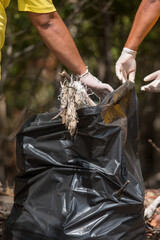 Collect garbage from the sea