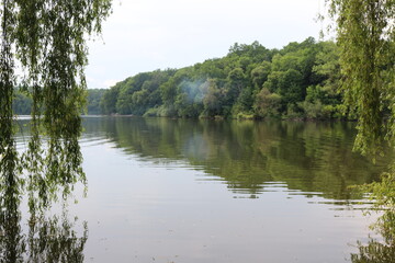 
Trees are reflected in the lake water on a sunny summer day.