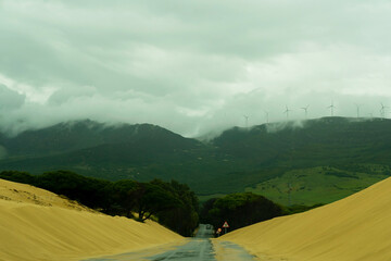 Road through sand dunes near Punta Paloma beach. Tarifa, Cadiz Province, Andalusia, southern Spain,...