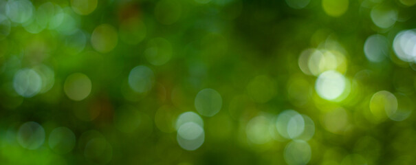 abstract circular green bokeh background, green nature spring and nature light in blurred style, copy space