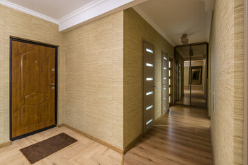 door in modern entrance hall of corridor in expensive apartments