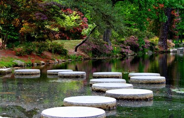 Oriental pond garden