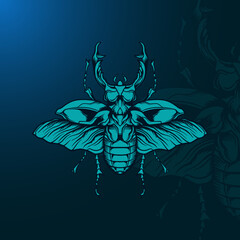 Beetle Illustration