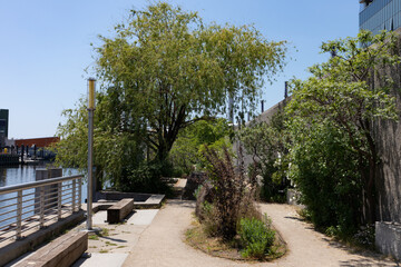 Newtown Creek Nature Walk in Greenpoint Brooklyn during Spring with Green Trees and Plants