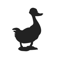 vector illustration of a bird, drawing silhouette, vector