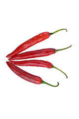 Fresh red chili