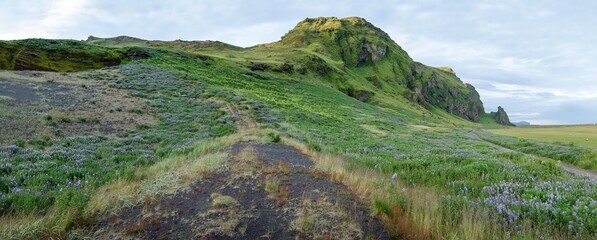 Panorama of a green rocky hill above Vik i Myrdal village in Southern Iceland during beautiful sunset with nice shadows and a path