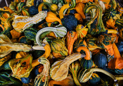 colorful gourds for sale at the market