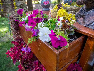 Flower bed from an old chest of drawers