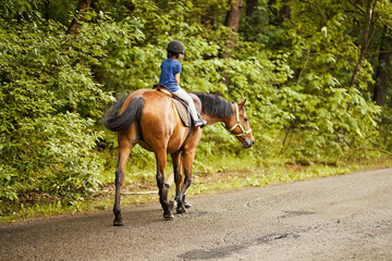 Fototapeta premium Little girl rides a beautiful horse on the road in the forest