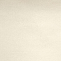 Watercolor paper texture. Paper texture for use as a background