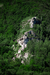 People stand on a rocky cliff in the middle of a green forest.