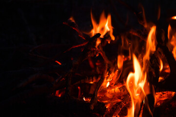 fire, flame, fire at night, night flame, fire, picnic, barbecue, cooking on fire, hot branches, bonfire