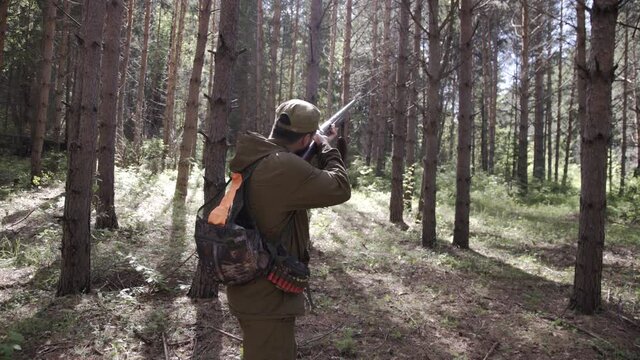 Man takes aim while standing from hunting rifle. Man in comfortable camouflage clothes hunter outdoor in forest hunting alone. Hunter in camouflage aims gun at object in forest during sunset.