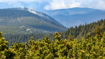 Misty clouds rolling over forest hills, Frantiskova myslivna hut, Jeseniky, Czech Republic