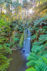 Obraz premium Hopetaun Falls in Great Otway National Park