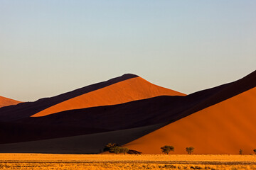 Fototapeta na wymiar DESERT EN NAMIBIE