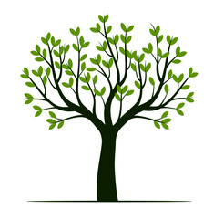 Summer Tree with green leaf. Vector Illustration.