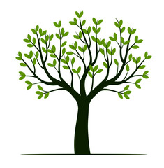 Obraz premium Summer Tree with green leaf. Vector Illustration.