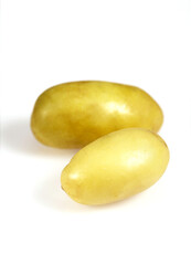 POMME DE TERRE CHARLOTTE