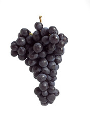 RAISIN NOIR MUSCAT