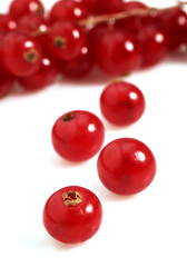 GROSEILLE ROUGE