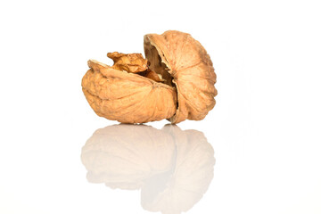 Walnuts isolated on a white background.