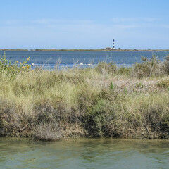 Phare de Faraman en Camargue près de Salin de Giraud