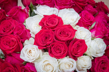 Multi-colored bouquet of red, pink and white roses