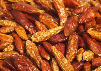 PIMENT OISEAU