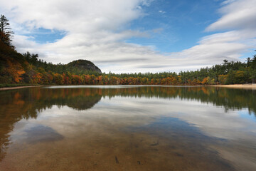 Foliage of White Mountain, New Hampshire, USA