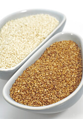 SESAME