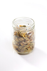 Nutrition concept - Healthy food, Diet, Detox, Clean Eating or Vegetarian concept. A nutritious food on glass jars against white background.