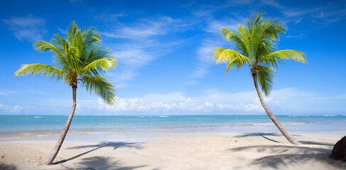 Palm trees on white tropical beach. Travel background.