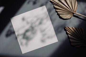 Empty white wedding invitation card mock up with soft leaves shadows on gray background.