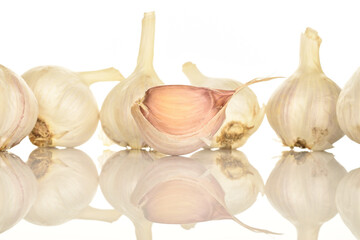 garlic isolated on white