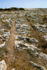 Misrah ghar il-kbir cart tracks in Malta