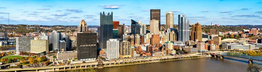 Panorama of Downtown Pittsburgh with the Monongahela River in Pennsylvania - obrazy, fototapety, plakaty