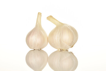 garlic isolated on white background