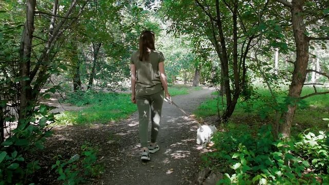 Little puppy terrier walking outside in green foliage with a young girl. SlowMo