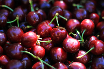 cherries in the market