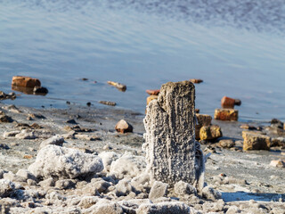 Fototapeta premium Petrified salt acted on wooden boards in dry estuary, selective focus. Water has receded far into the result of strong summer drought. Ecological catastrophy. Kuyalnik in Odessa, Ukraine.