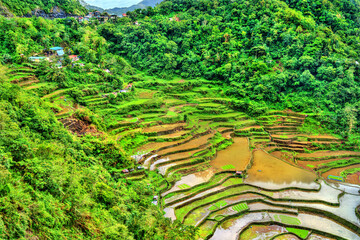 Fototapeta na wymiar Bangaan Rice Terraces - Luzon, Philippines