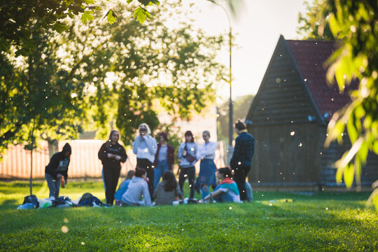 Moscow, Russia, 21 June 2020: Defocused picture of young people celebrating the end of the school year making a picnic amid poplar fluff in Kolomenskoye public park