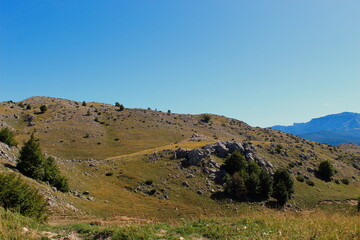 Mountain hill, karst, grass, trees and mountain spikes in distance.. Bjelasnica Mountain.